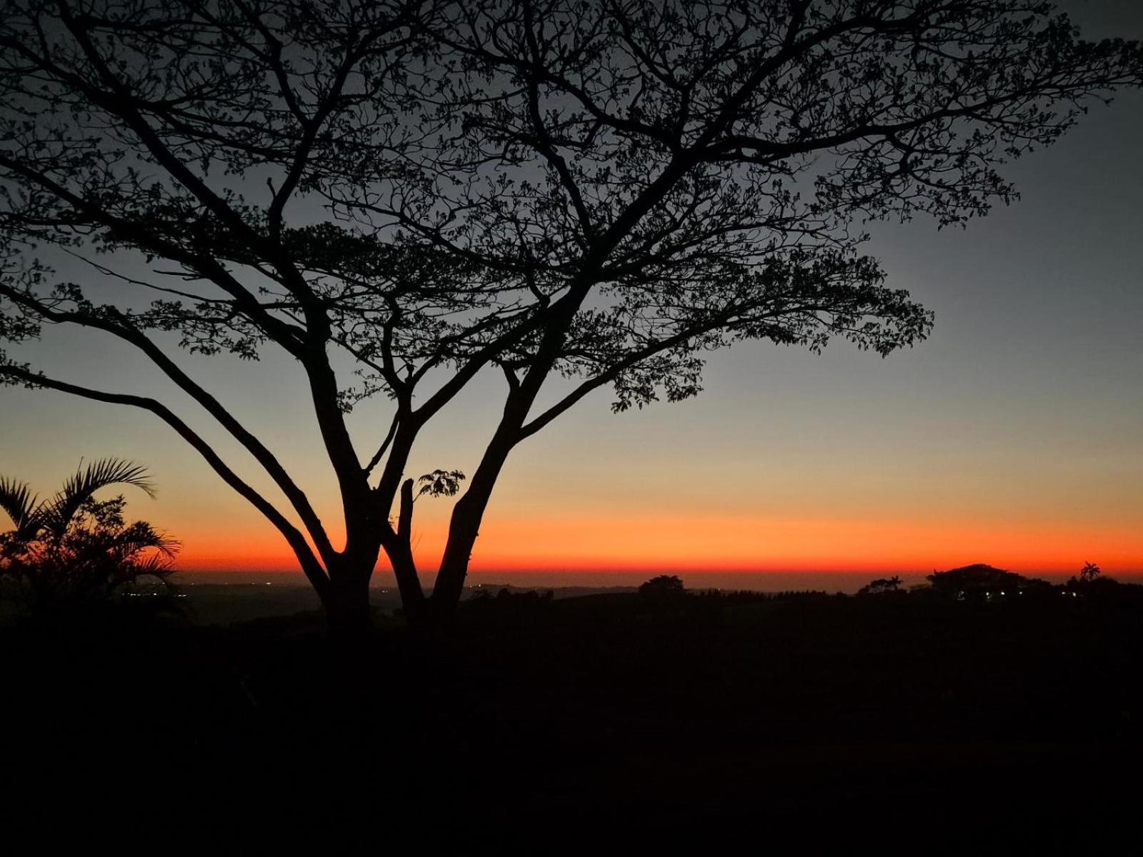 Silverstreams Lodge, Villas & Cottages, Oribi Gorge Glendale 외부 사진